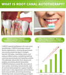 CAREDO Toothpaste Gum Repair for Avoid Root Canal Therapy, Gingivitis Treatment for Pulpitis Discomforts and Tooth Repair, Remineralizing Hydroxyapatite Toothpaste for Root Canal Discomforts, Mint 3.52 OZ