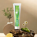 CAREDO Toothpaste Gum Repair for Avoid Root Canal Therapy, Gingivitis Treatment for Pulpitis Discomforts and Tooth Repair, Remineralizing Hydroxyapatite Toothpaste for Root Canal Discomforts, Mint 3.52 OZ