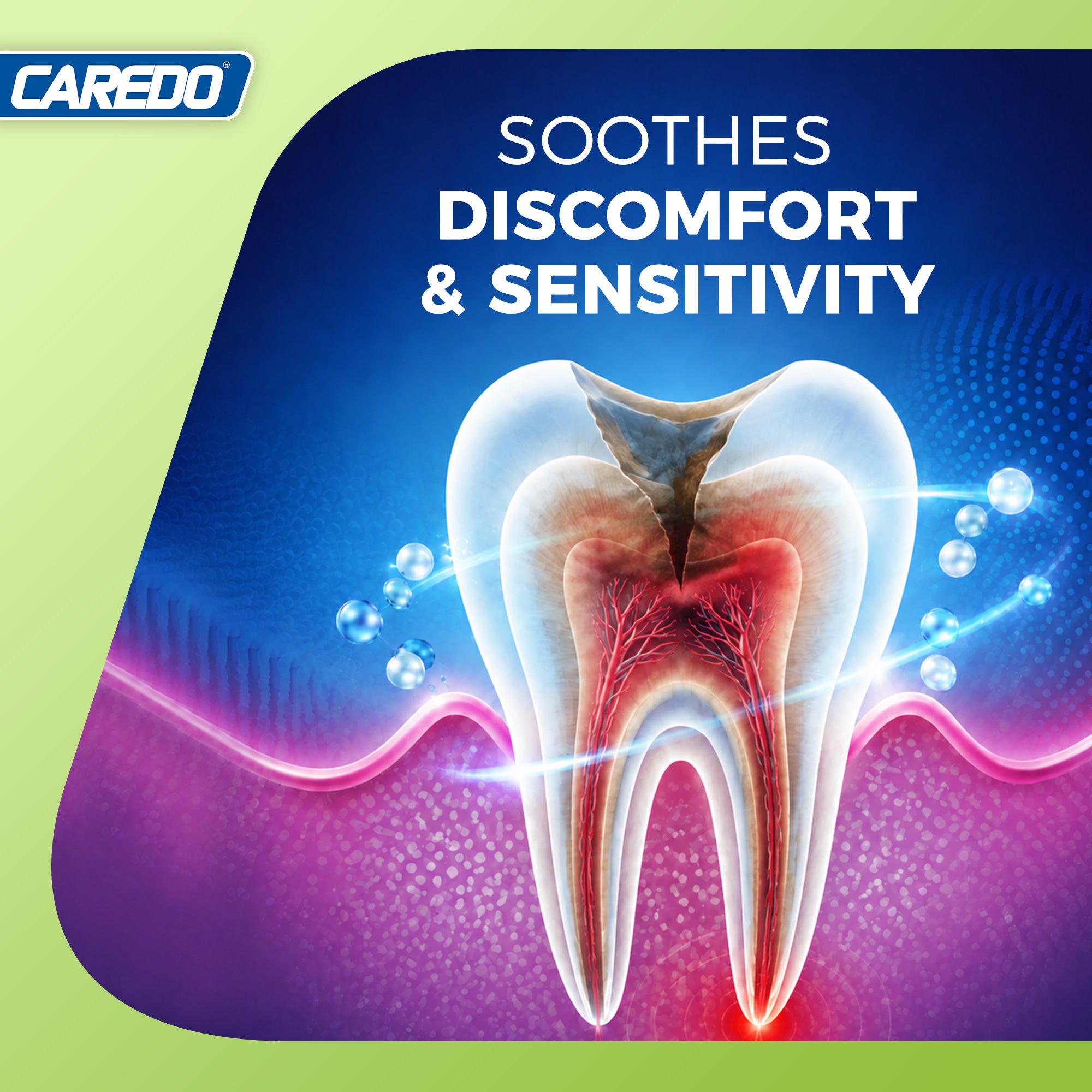 CAREDO Advanced Tooth Root Repair Toothpaste